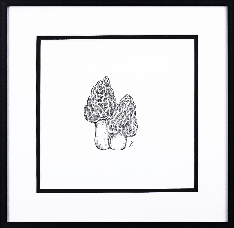 ©2022 Joseph Petry Original Artwork "Dainty Sidekick"